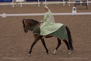 Lusitano Breed Society of Great Britain Show - Hartpury College - 27th June 2009